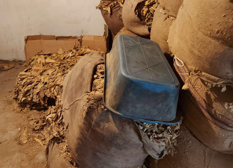 1235 килограма тютюн са били иззети от служителите на сектор