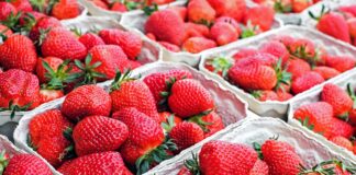 Ягоди, плодове