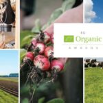 Биологично производство