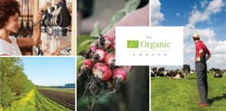 Биологично производство