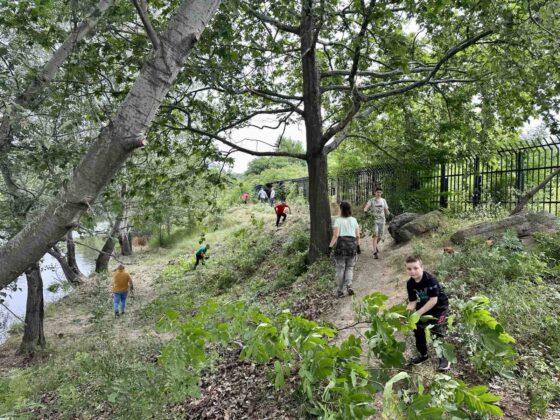 Почистване