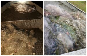 Хрилни мрежи бяха извадени от водите на язовир „Мандра“