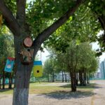 СУ „Константин Петканов“