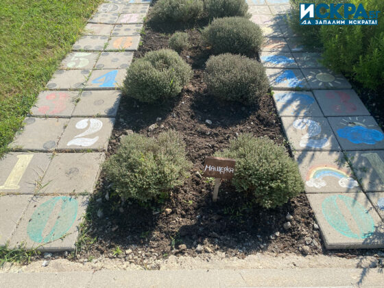 Зелен кът. Снимка: Искра.бг