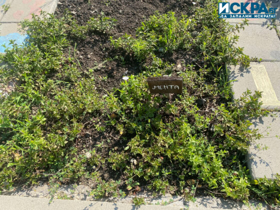 Зелен кът. Снимка: Искра.бг