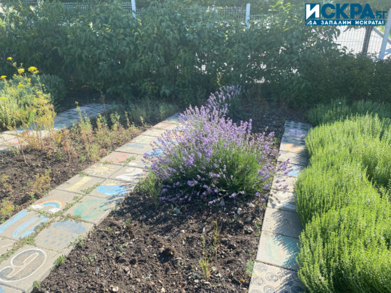 Зелен кът. Снимка: Искра.бг