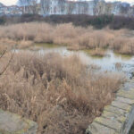 "Дупката" на площад "Тройката" в Бургас