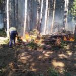 Пожар в гора