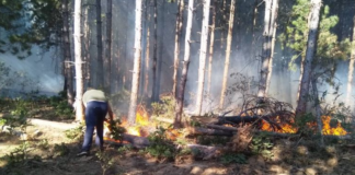 Пожар в гора