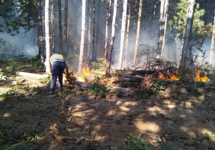Огромен пожар гори край село Шишманово, като гасенето му е