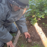 Ръчна граната