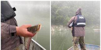 Незаконен риболов