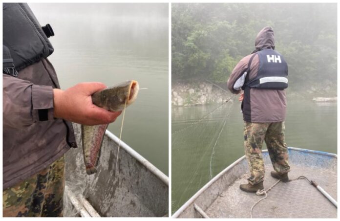 Незаконен риболов