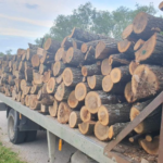 Дървесина, дърва
