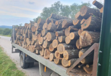 Дървесина, дърва