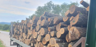 Дървесина, дърва