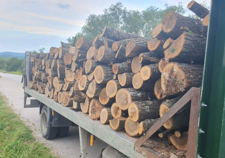 Екип на Изпълнителна агенция по горите ИАГ разкри измама с