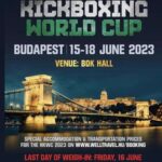 Състезание по кикбокс