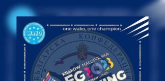 Европейски игри