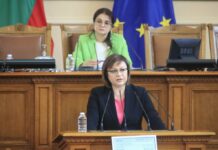 Корнелия Нинова