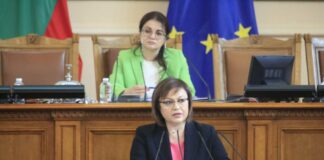 Корнелия Нинова