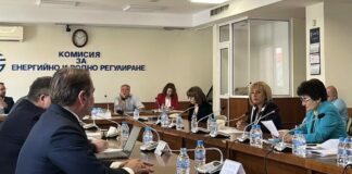 Мая Манолова на заседание на КЕВР