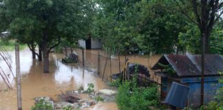 Наводнение в Дунавци