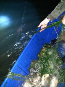 300 метра хрилни мрежи са били извадени от водите на язовир "Пясъчник"