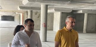 Константин Бачийски и Димитър Илиев