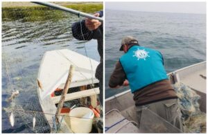 Масирани проверки на инспектори от сектор РК-Варна