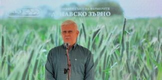 Кирил Вътев