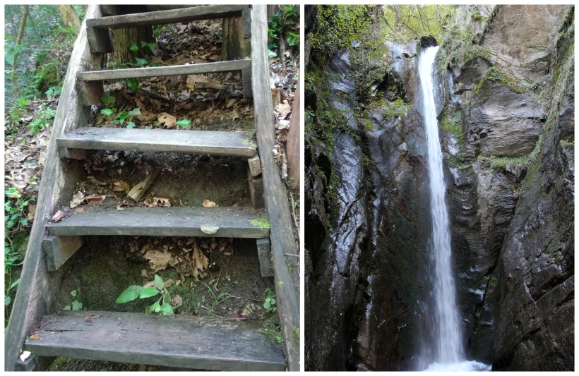 Обновен е маршрутът от село Камена до Камешнишки водопад съобщиха