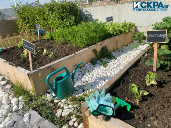 Зелена занималня. Снимка: Искра.бг