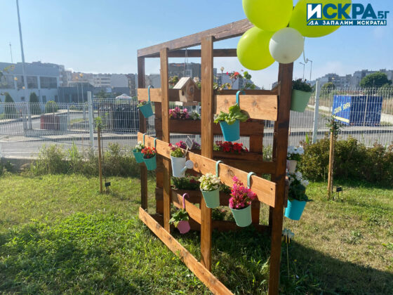 Зелена занималня. Снимка: Искра.бг