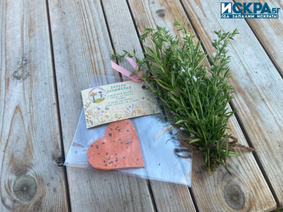 Зелена занималня. Снимка: Искра.бг