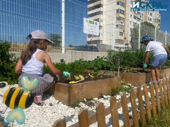 Зелена занималня. Снимка: Искра.бг