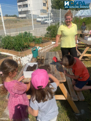 Зелена занималня. Снимка: Искра.бг