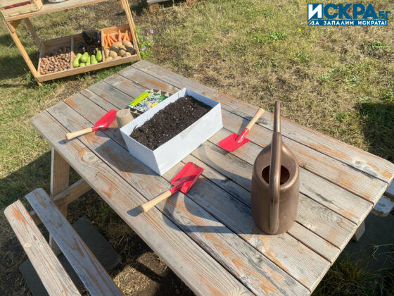 Зелена занималня. Снимка: Искра.бг