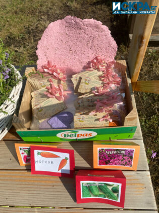 Зелена занималня. Снимка: Искра.бг