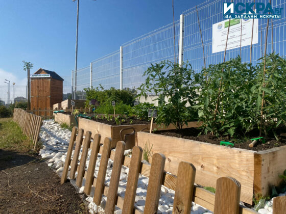 Зелена занималня. Снимка: Искра.бг