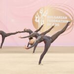 Гимнастички