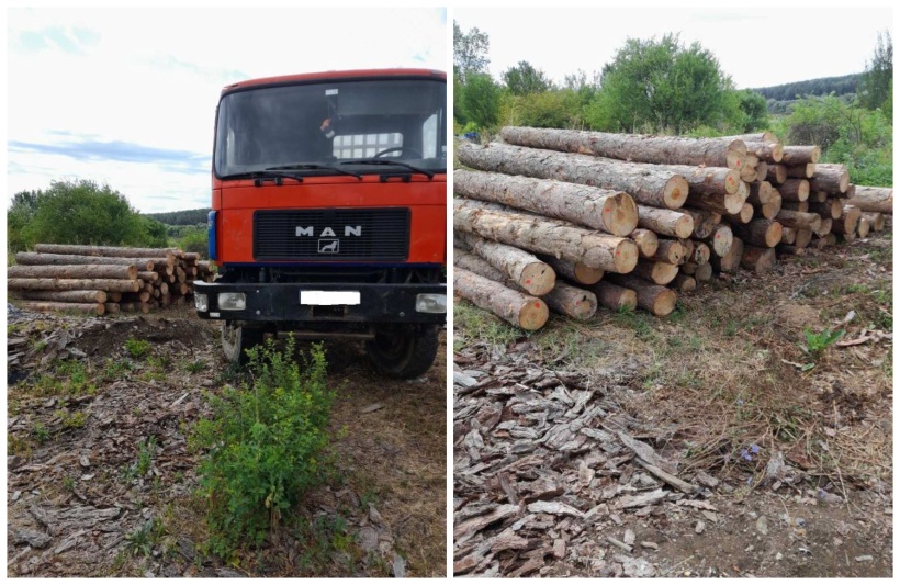 Камион натоварен с незаконна дървесина е бил задържан от горски