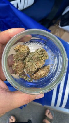 Наркотици, дрога