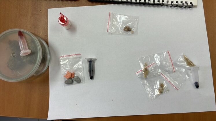 Наркотици, дрога