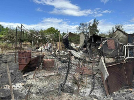 Изгорели постройки