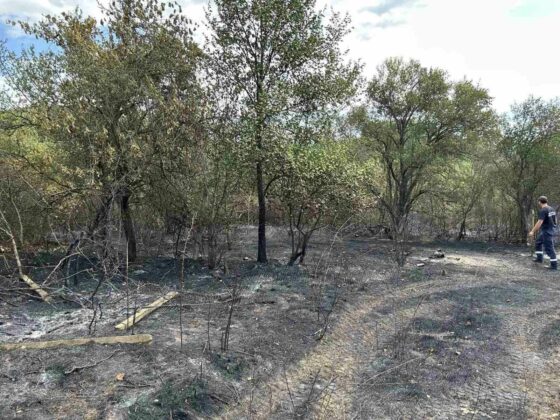 Изгорели постройки