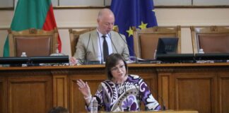 Корнелия Нинова