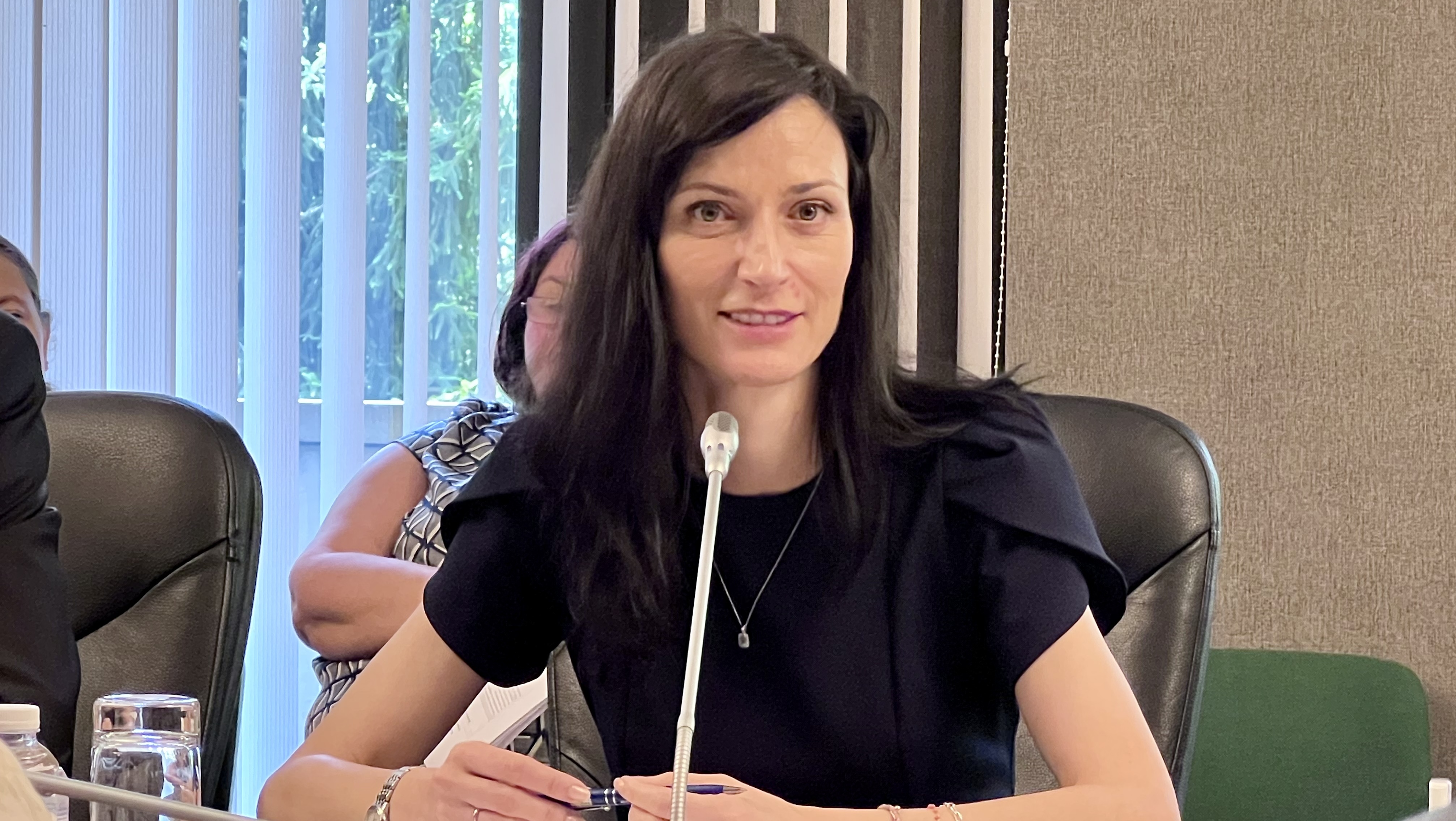 Мария Габриел