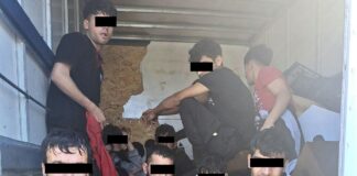 Мигрантите