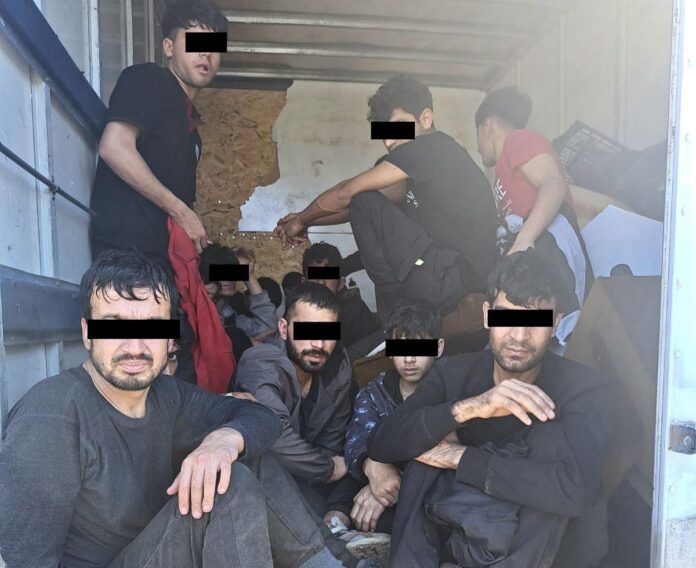 Мигрантите